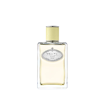 Infusion De Gingembre E.D.P Prada