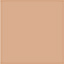 Soft Beige 2
